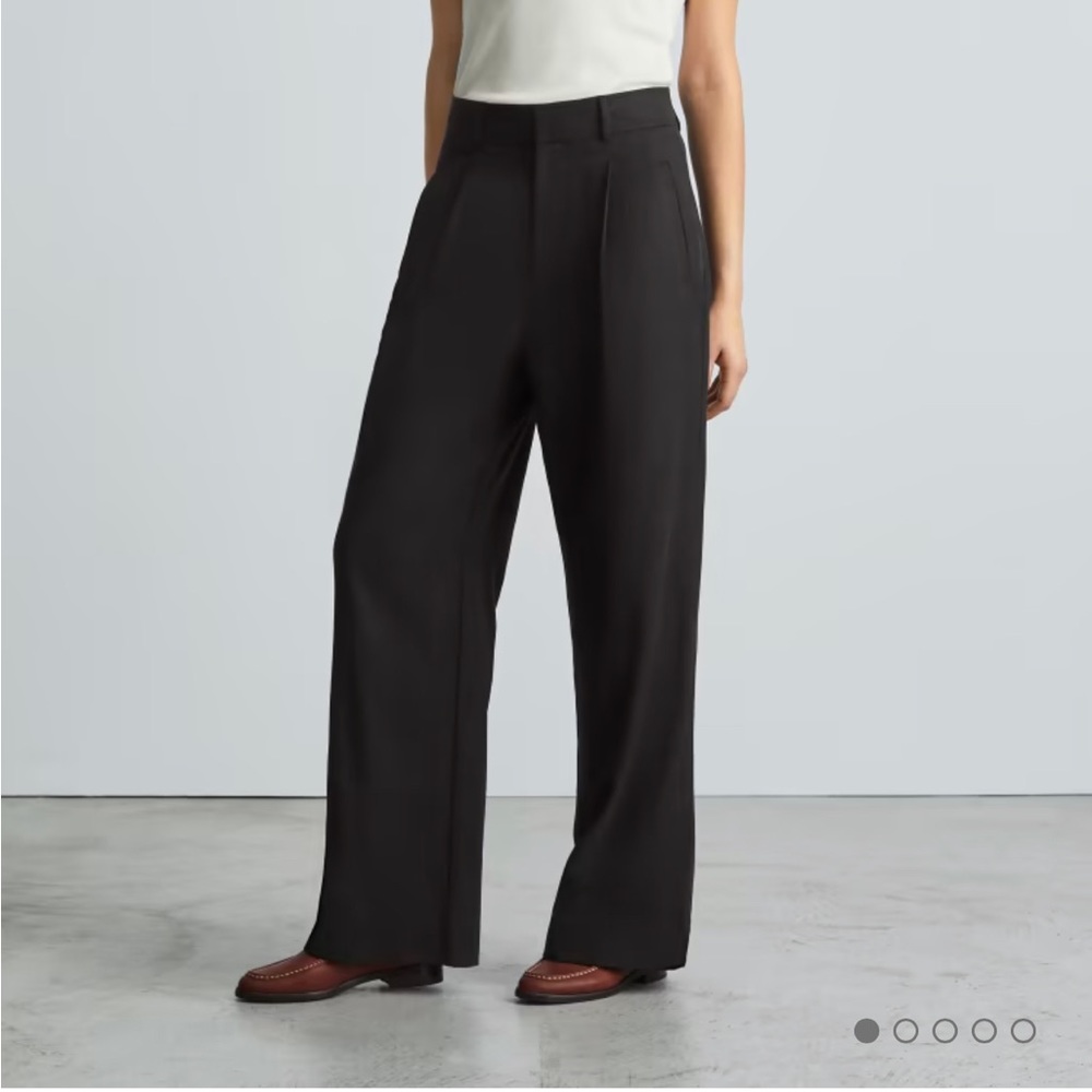The Everlane Way High Drape Pant - brand new